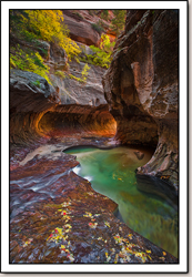 Zion National Park - Gallery 5
